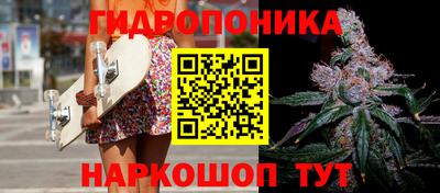 метадон Аргун