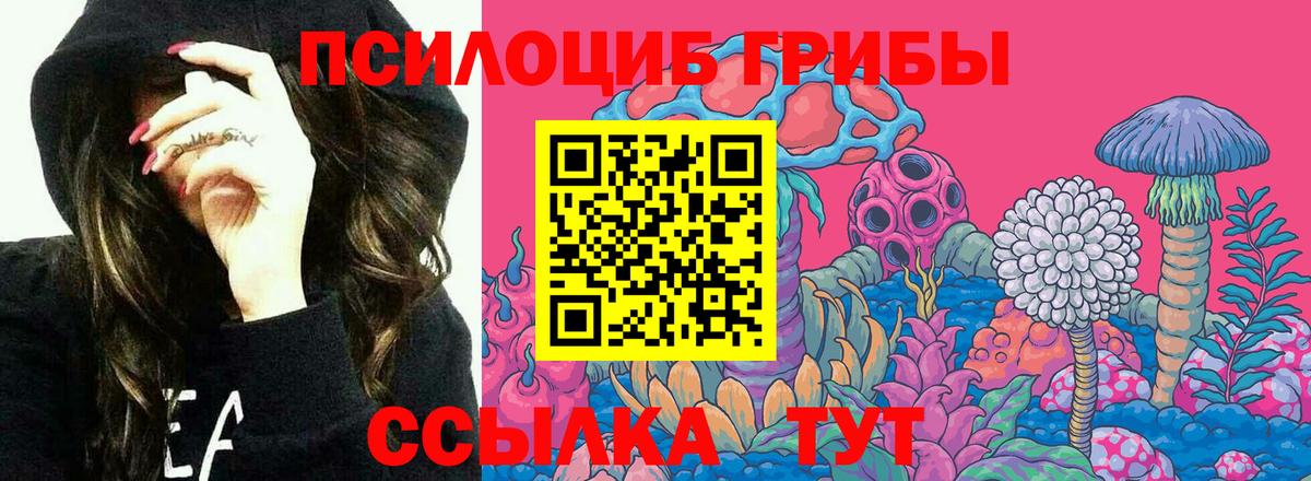 Псилоцибиновые грибы Cubensis  Галлюциногенные грибы Magic Shrooms  Вход с VPN  Волгоград 